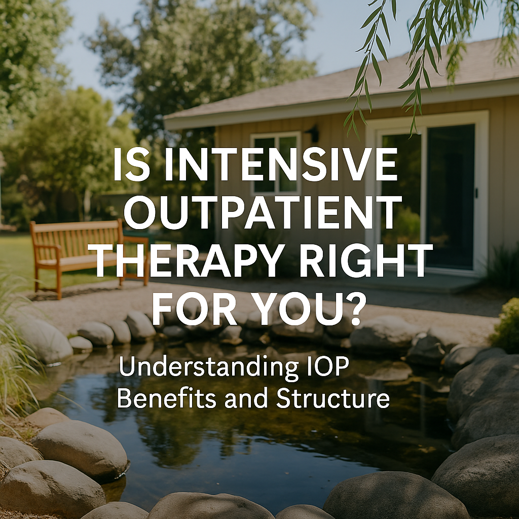 rehab, addiction recovery, co-occurring disorders, dual diagnosis treatment, intensive outpatient program, IOP Sacramento, IOP therapy, outpatient rehab, recovery homes near me, sober living homes, Transitional Recovery